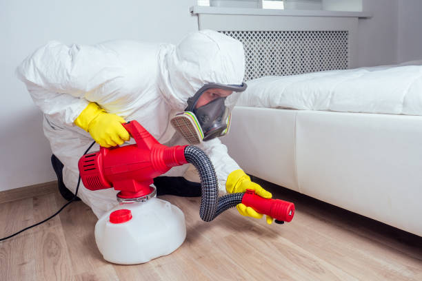 Best Bed Bug Extermination  in Brevard, NC